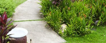 featured image - Reasons to Hire Professional Landscapers and Types of Services Offered