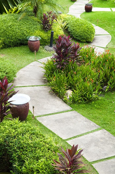 featured image - Reasons to Hire Professional Landscapers and Types of Services Offered