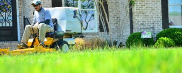 featured image - How to Maintain Lawn Care