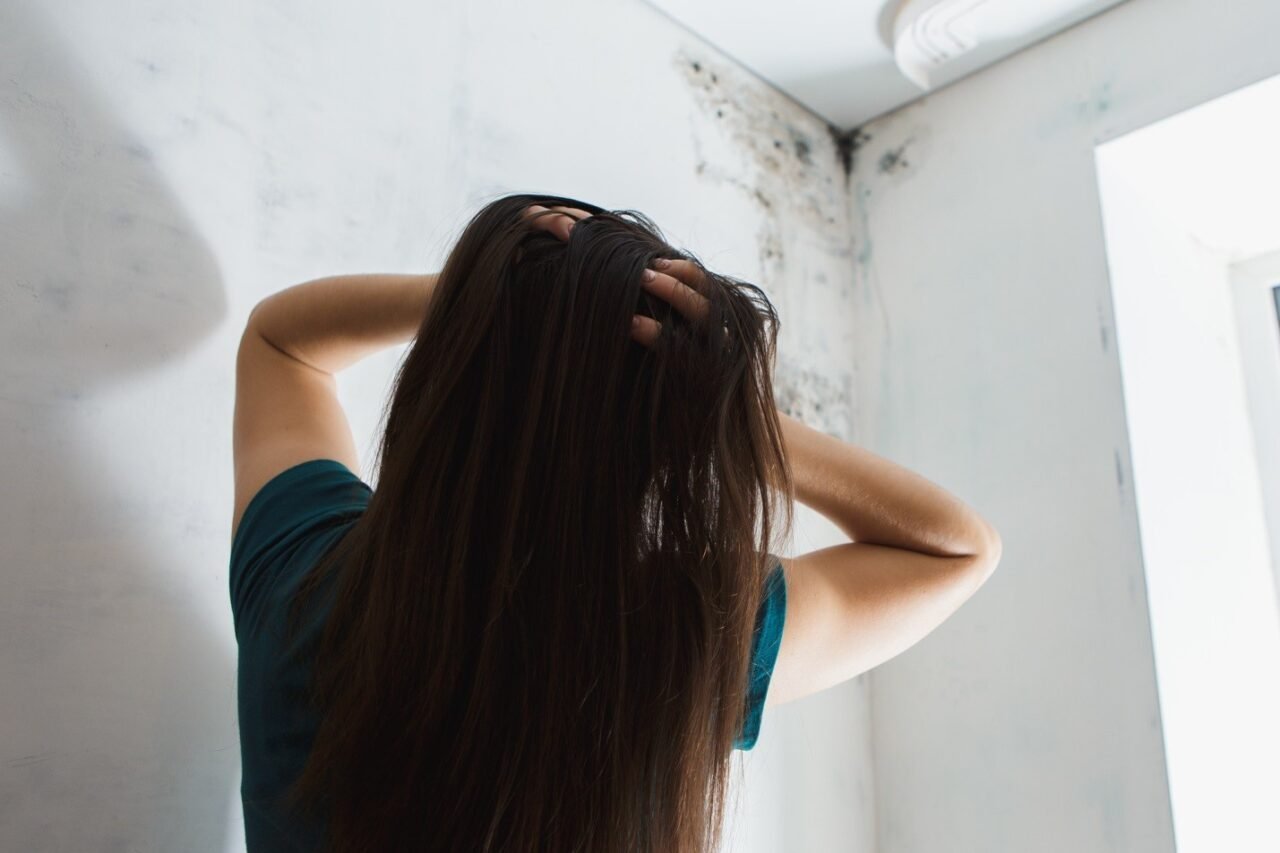 Mold Removal How Much Can You Expect to Pay image - Mold Removal How Much Can You Expect to Pay