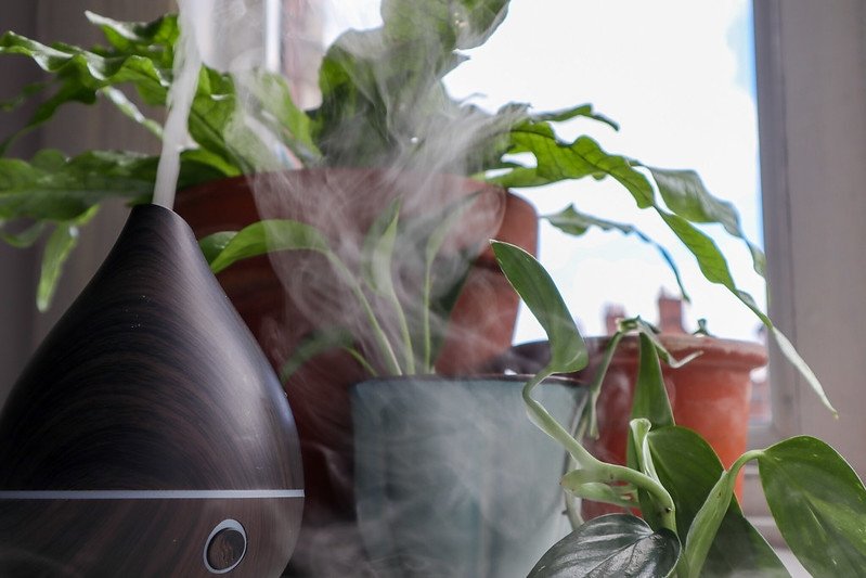 What is Humidification, And How Can It Help You? Image - What is Humidification, And How Can It Help You?
