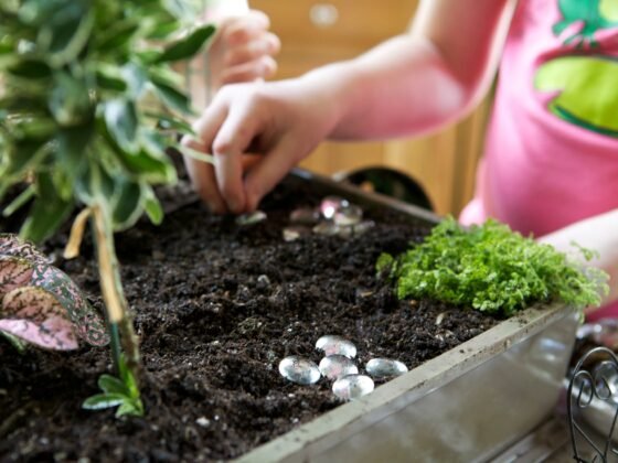 3 Ways to Improve Your Garden