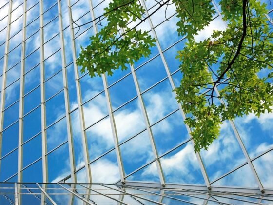 Featured image - What Is Commercial Glazing?