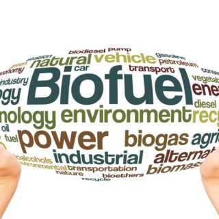 Featured image - Fuels of the Future: Is Biofuel Renewable?
