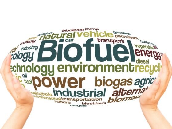 Featured image - Fuels of the Future: Is Biofuel Renewable?