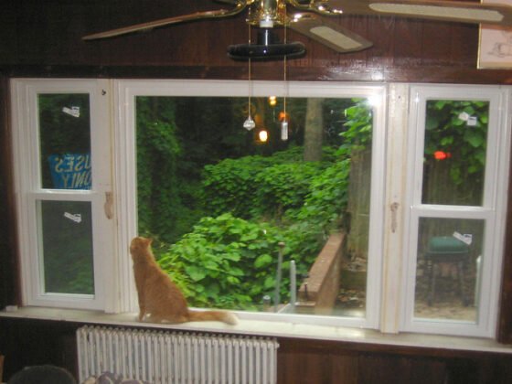 featured image - How To Know When It's Time to Replace Your Home's Windows