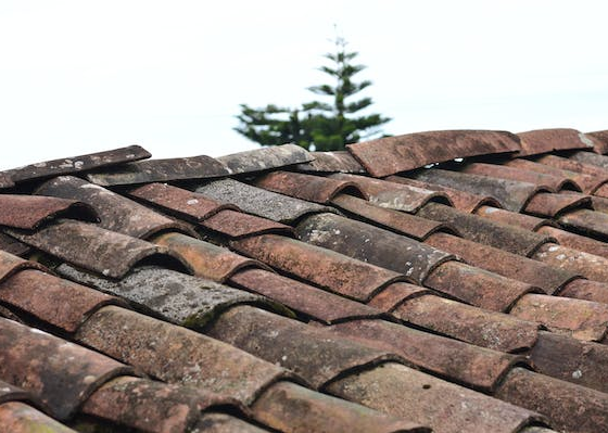 featured image - Leaky Roof? Everything You Should Know About Roof Repairs