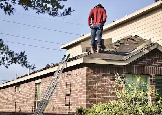featured image - Roof Repair vs. Roof Replacement: Which Do You Need?