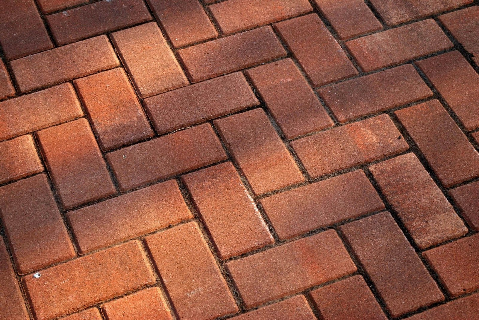 Yes, You Need to Seal Your Pavers. Here's Why! image - Yes, You Need to Seal Your Pavers. Here's Why!