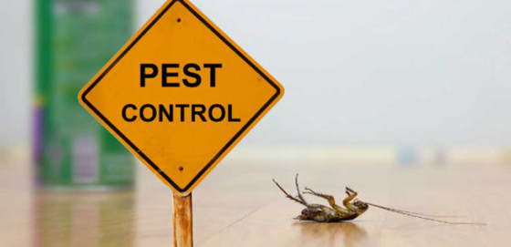 featured image - 6 Best Pest Control Companies in Kuala Lumpur