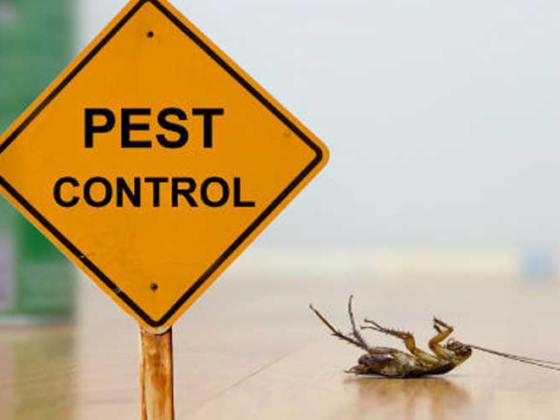 featured image - 6 Best Pest Control Companies in Kuala Lumpur
