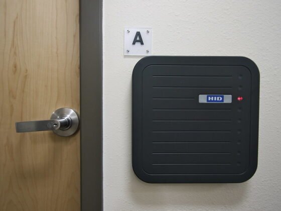 featured image - 7 Must-Have Things for Eco-Friendly Home