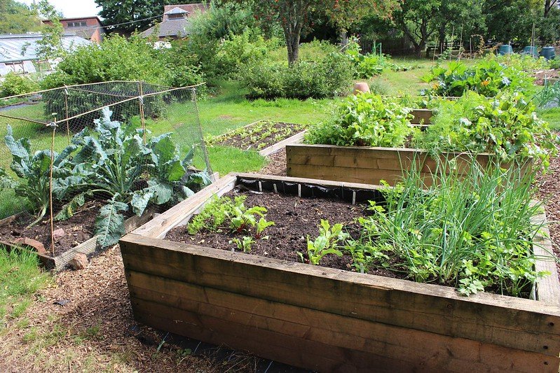 What Are the Benefits of Raised Garden Beds image - What Are the Benefits of Raised Garden Beds