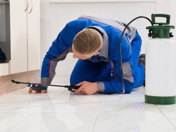featured image - How to Hire the Best Residential Pest Control Company