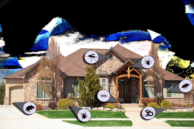 Featured image - The Complete Guide to Pest Control: Techniques and Strategies Professionals Use to Ensure a Pest-Free Home