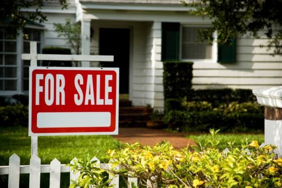 featured image - 5 Tips for Choosing a Local Real Estate Agency