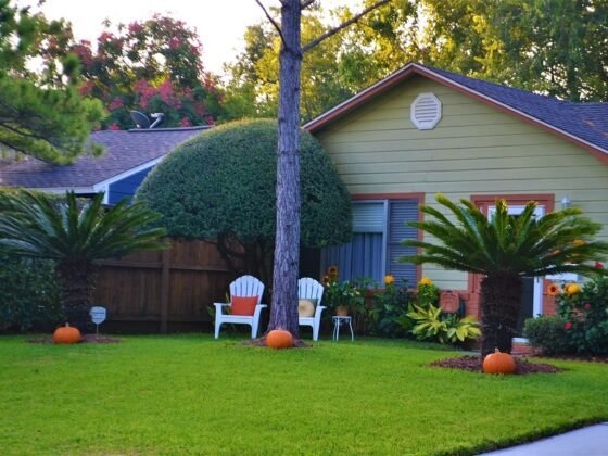 featured image - How to Create the Perfect Yard Design
