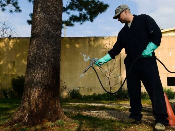 featured image - Integrated Pest Management Strategies for Homeowners