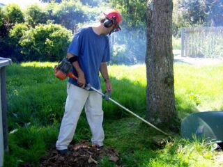 Featured image - How to Properly Weed Eat Your Yard