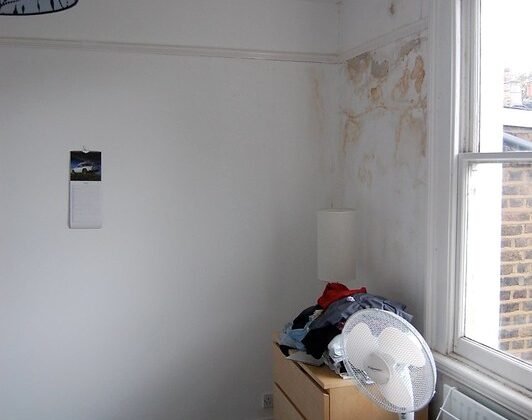 Featured image - What to Do if Your Roof Is Leaking