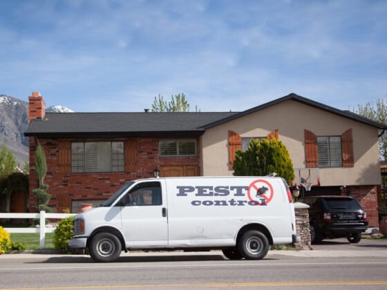 featured image - pest control