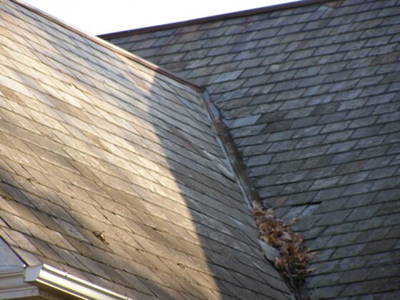 featured image - How to Extend the Lifespan of Your Roof