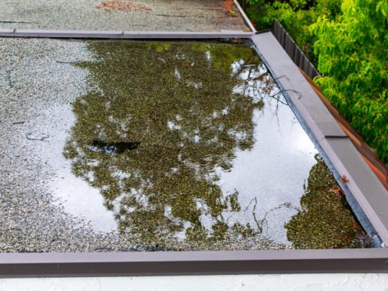 featured image - How to Ensure Proper Drainage For a Flat Roof