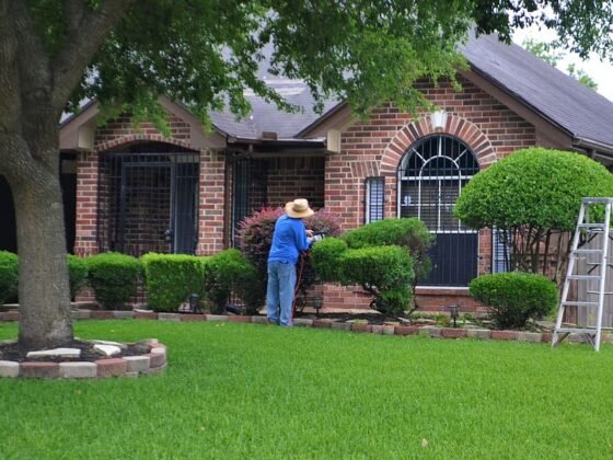 featured image - Landscaping Can Help Increase Your Home's Value