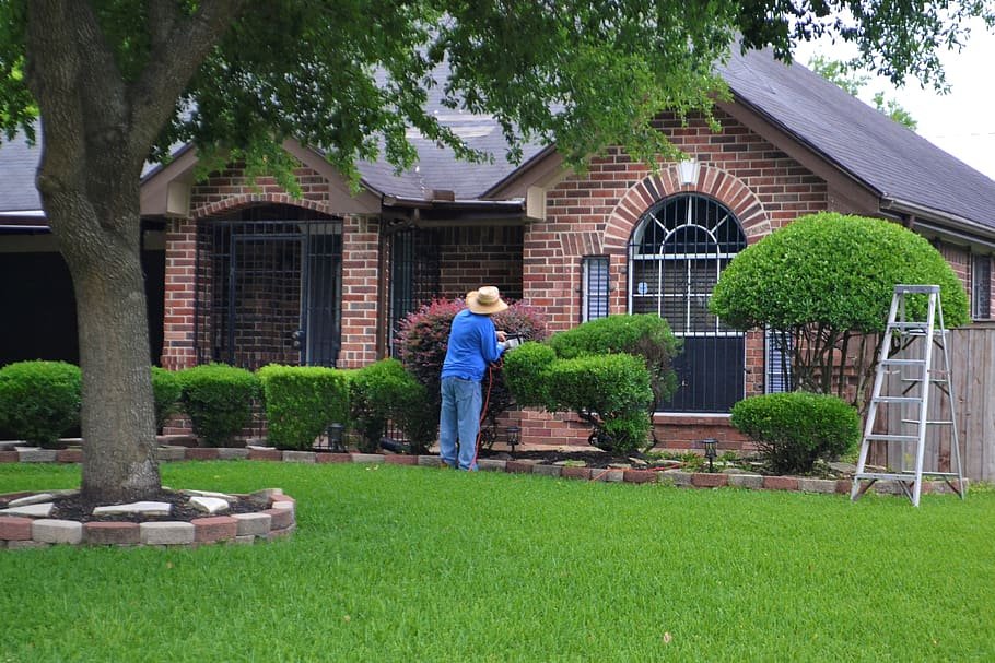 featured image - Landscaping Can Help Increase Your Home's Value
