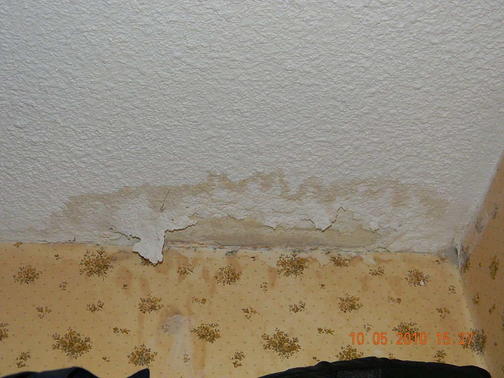featured image - The Hidden Dangers of Slab Leaks and How to Safeguard Your Home