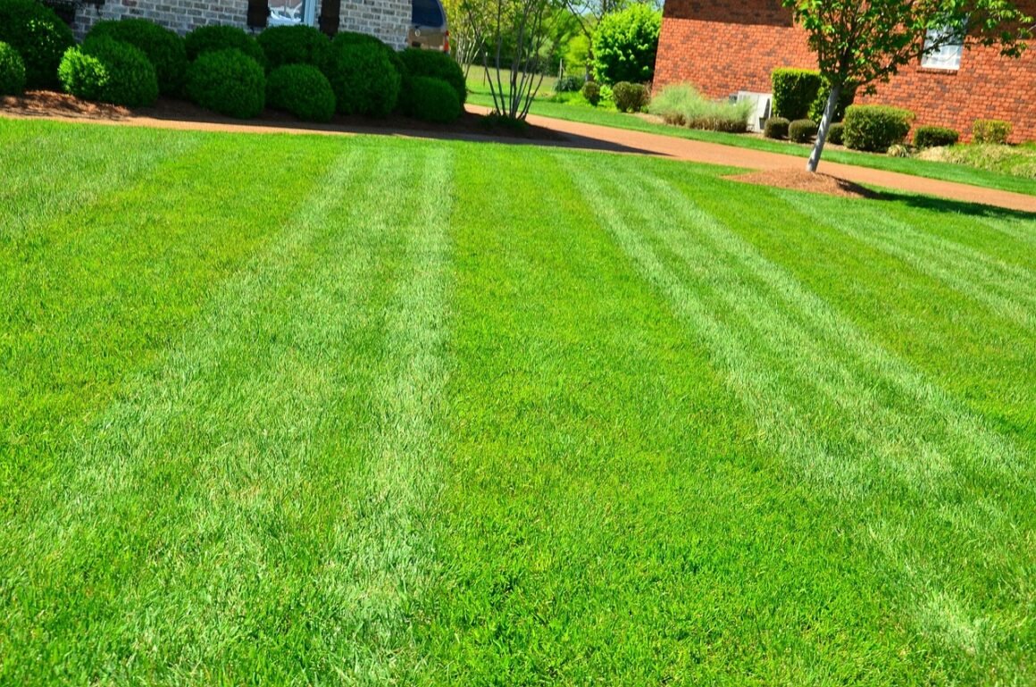 featured image - 3 Ways to Make Lawn Care and Gardening Easier on Older Bodies