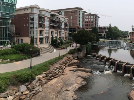 featured image - Green Living in Greenville: Sustainable Homes and Trends in South Carolina's Real Estate Market