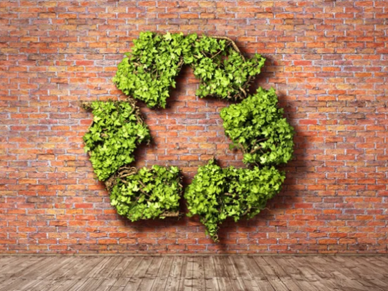 featured image - Bricks Go Green: How Machines Aid Eco Design