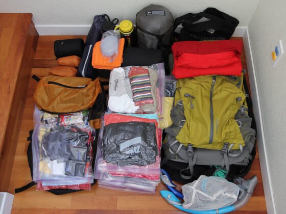 featured image - 5 Pro Packing Tips from Moving Experts