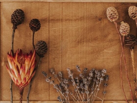 Bring the beauty of nature inside with stylish dried flowers.