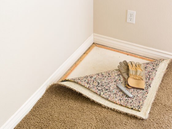 featured image - The Benefits of Carpeting in Residential Spaces