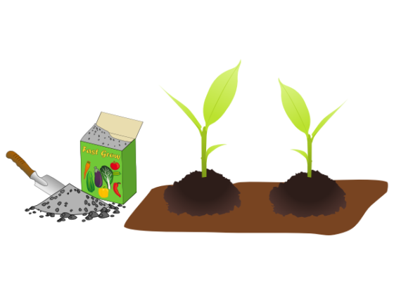 featured image - The Importance of Agriculture Fertilizer Products