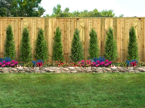 featured image - How Can I Create a Low-maintenance Landscape?