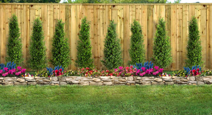 How Can I Create a Low-maintenance Landscape?