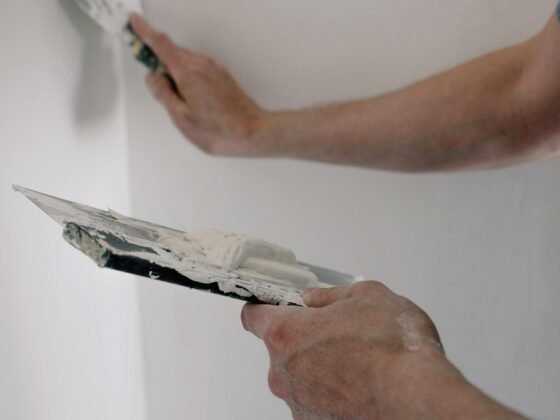 featured image - DIY vs. Professional Plaster Repair Which is Right for You