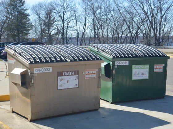 featured image - 10 Essential Tips for Choosing the Right Trash Dumpster Rental