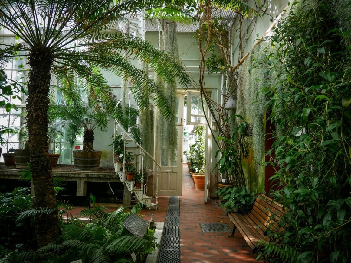 featured image - 3 Tips for Creating an Indoor Garden