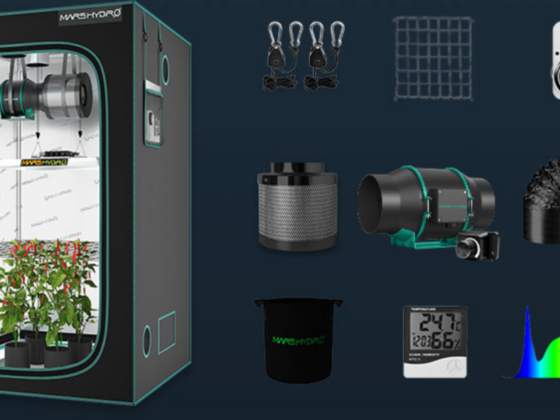 featured image - 5 Reasons You Need a Grow Tent for Your Indoor Garden