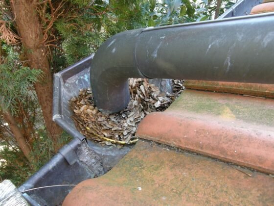 featured image - The Hidden Dangers of Clogged Gutters: What Homeowners Need to Know