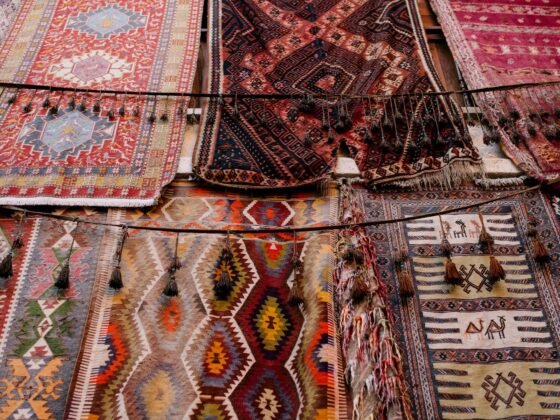 featured image - Detailed Guide on Oriental Rug Pet Accidents