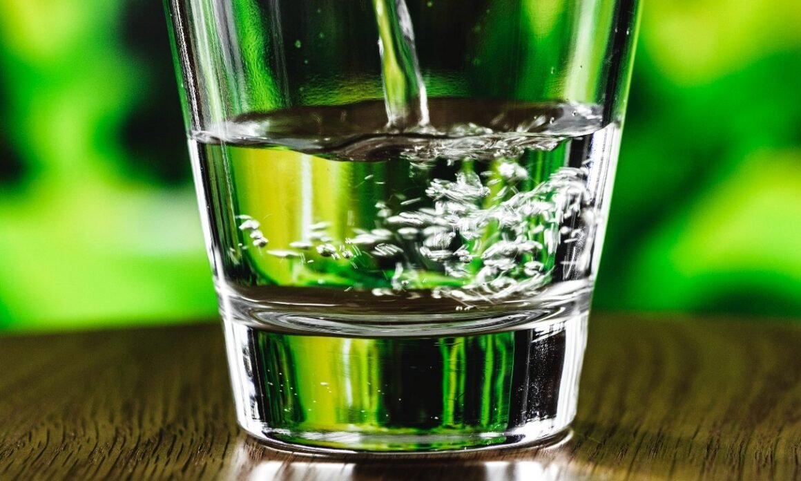 featured image - Water Filtration Investment Revamping Your Living Space