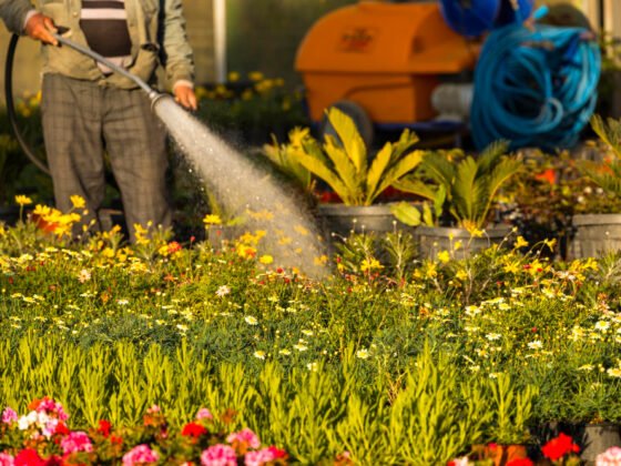 featured image - Nourishing Bay Area Landscape: Fall Fertilization Tips for Vibrant Plants