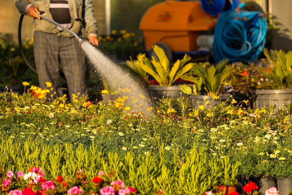 featured image - Nourishing Bay Area Landscape: Fall Fertilization Tips for Vibrant Plants