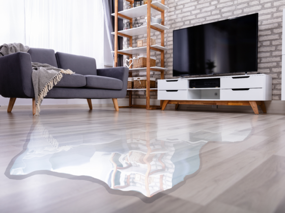 featured image - The Impact of Slab Leaks on Home Value and Insurance Costs