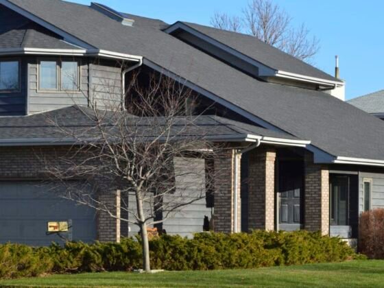 featured image - Transform Your Space with Roof Painting Services